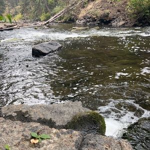 Meet your Posher, Brooklynne